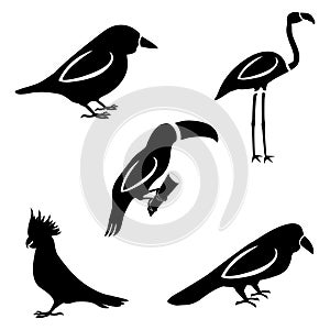 A set of five birds. Silhouettes of a sparrow, toucan, parrot, c