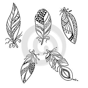 Set of five feathers in tribal american ethnic style in coloring