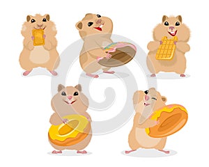 Set of five hamsters