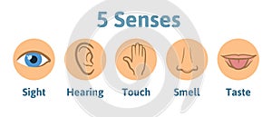 Set of five human senses icon: vision, hearing, smell, hearing, touch, taste. Eye, ear, hand, nose and mouth with tongue