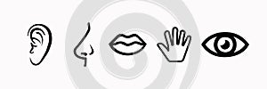 Set of five human senses sight, smell, hearing, touch, taste. Simple line icons.