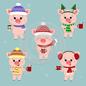 A set of five-pigs in different hats and a scarf with cups of different hot drinks. Happy New Year and Merry Christmas. The symbol