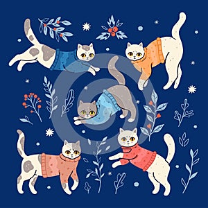 Set of five winter cats in sweaters. Vector graphics