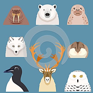 Set of flat arctic animal icons