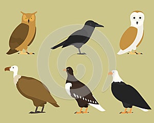 Set of flat birds, isolated on background. different tropical and domestic birds, cartoon style simple birds for logos.