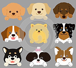 Set of flat colored cute and simple dog heads with front paws