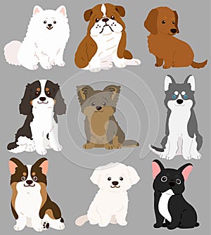 Set of flat colored cute and simple dogs sitting in front view