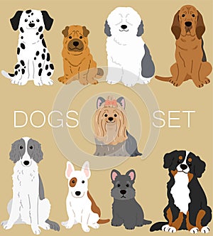 Set of flat colored cute and simple dogs sitting in front view