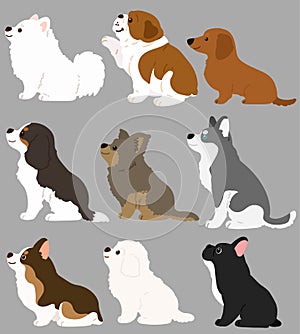 Set of flat colored cute and simple dogs sitting in side view