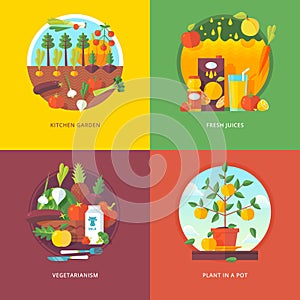 Set of flat design illustration concepts for kitchen garden, fresh juices, vegetarianism and plant in a pot. Fruit and