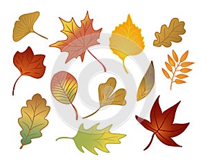 Set of flat hand drawn autumn leaves