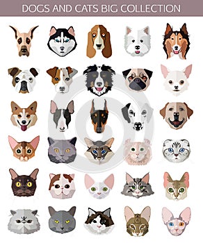Set of flat popular Breeds of Cats and Dogs icons