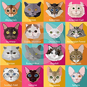 Set of flat popular breeds of cats icons