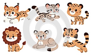 Set of flat vector illustrations in children's style. Cute wild cats lion, tiger, leopard, puma, ocelot, lynx.