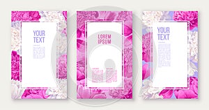 Set of floral banners with pink and white peonies flowers and petals. Hand drawn, vector templates for decoration, greeting card,
