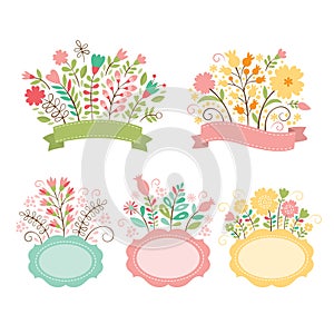 Set of floral bouquets and frames