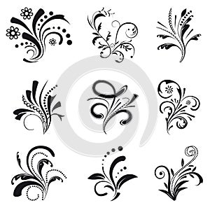 Set of floral design elements