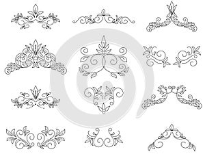 Set - floral design elements - vector