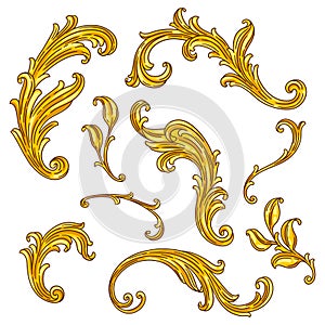 Set of floral elements in baroque style. Decorative curling plant.