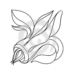 Flower isolate on white background. Black and white vector illustration