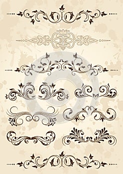 Set of floral elements for design