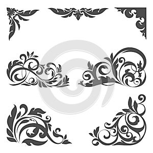 Set of floral elements for design
