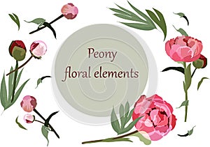 Set of floral elements with pink peonies flowers and leaves.