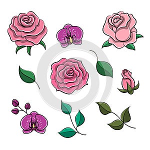 Set of floral elements. Roses and orchids with leaves isolated on white background.
