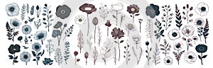 Set of floral elements. Set of beautiful flower. Romantic flower collection with flowers, twigs, leaves, herbs and berries