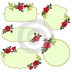 Set of floral labels isolate on white background. Vector graphics