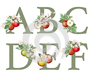 Set of floral letters A-F with apple tree flowers, leaves and apples