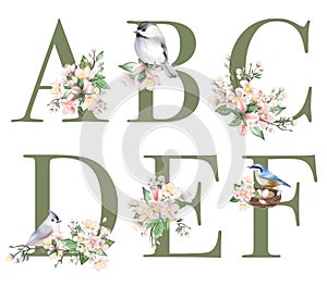 Set of floral letters A-F with apple tree flowers and spring birds