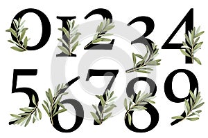 Set of floral numbers with olive green and golden branches