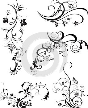 Set of floral ornaments isolated on white