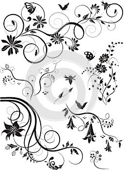 Set of floral ornaments isolated on white