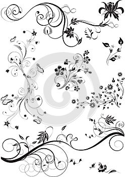 Set of floral ornaments isolated on white