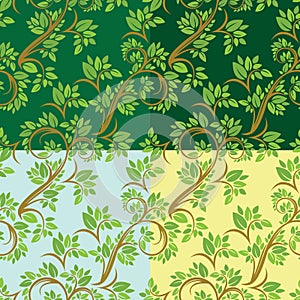 Set of Floral seamless pattern, detailed ornament with olive tree leaves and curled branches on different colors background.