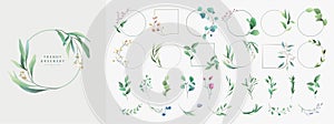 Set of floral watercolor logo elements. Wreath borders dividers, frame corners and minimalist flowers branch. Hand drawn