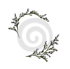 Set of floral waved arrangements with limonium small flowers
