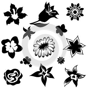 Set of flower elements