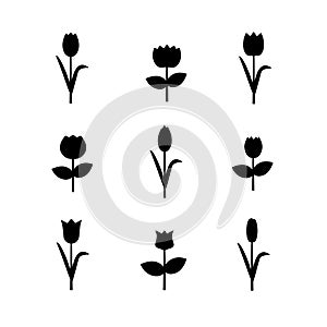 Set of flower icons. Side view floret silhouettes photo