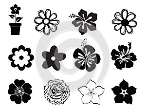 Set of flower illustrations