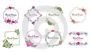 Set of flower ornament dividers. Hand drawn vines decoration, floral ornamental divider and sketch leaves ornaments logo
