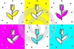 Set Flower rose icon isolated on color background. Vector