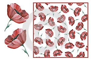 Set of flower and tileable background with red poppies. Colorful flowers. Watercolor hand drawn illustration isolated on white