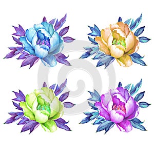 Set of flowering pink, blue, yellow peonies peony, paeony, paeonia. Pop-art style. photo