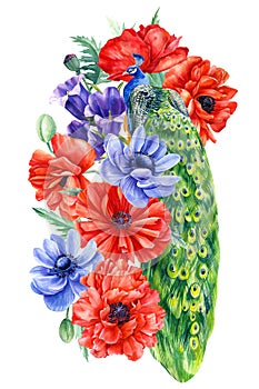 Set of flowers and birds, poppies, anemones, peacocks on an isolated white background, hand drawing, watercolor
