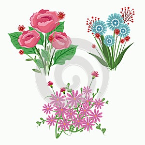 Set flowers bloom adorment design