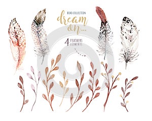Set of flowers and feathers in watercolor style. Illustration in indie style. Boho floral isolated decoration element