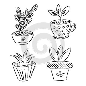 Set of flowers house plant hand drawn vector outline doodle icon. Collectoin decorative potted house plant sketch